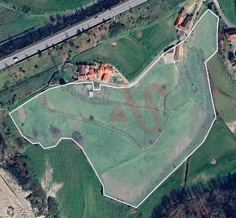 Quinta