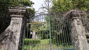 Quinta