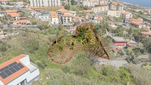 Quinta
