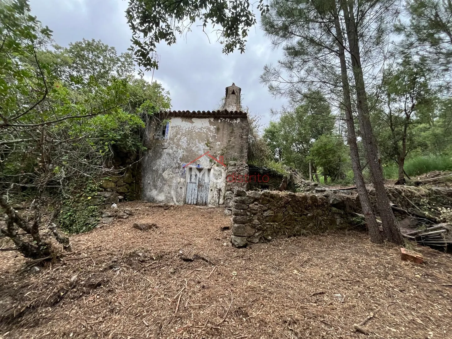 Quinta