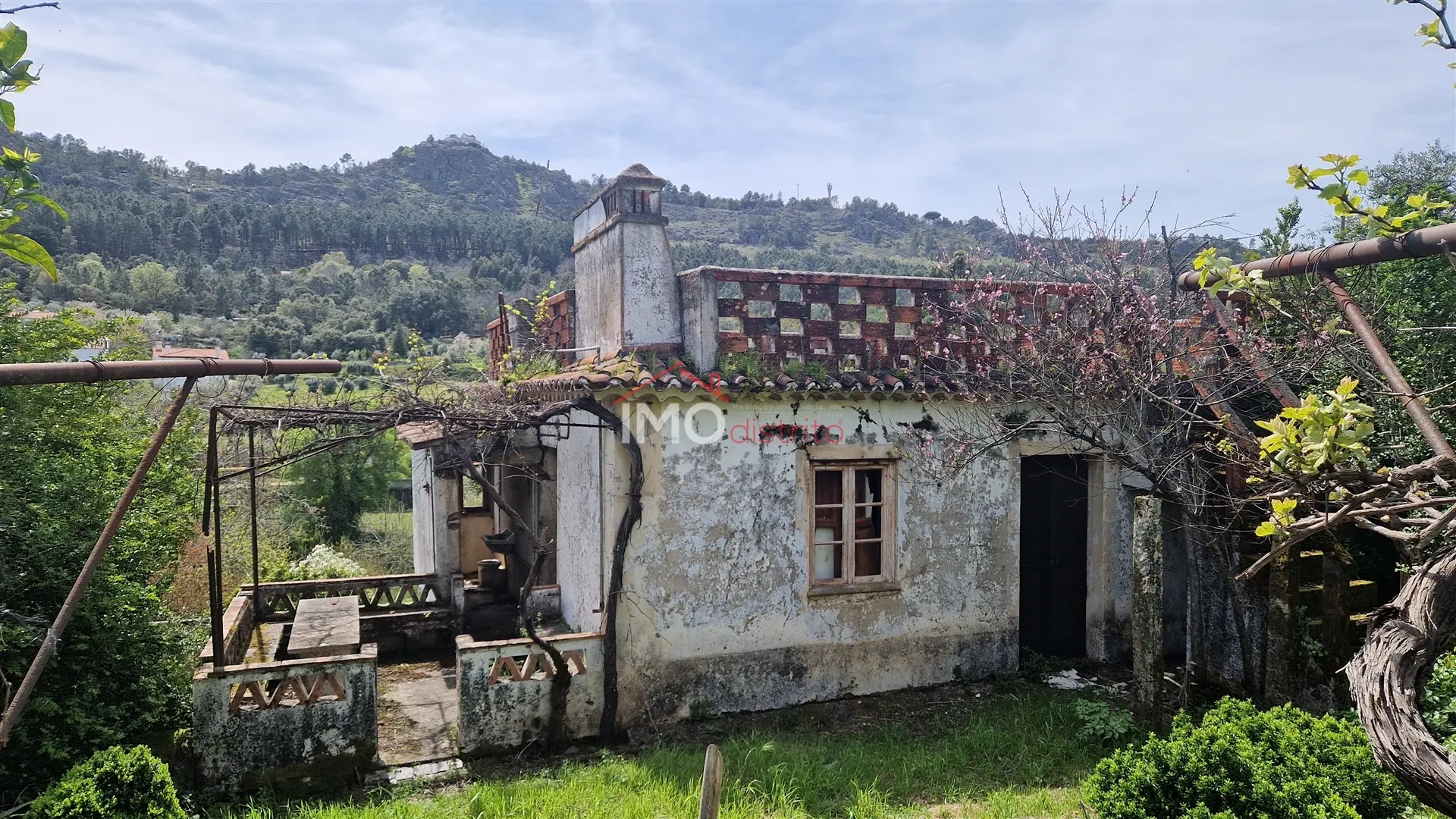 Quinta
