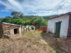 Quinta