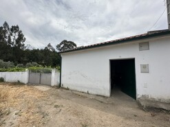 Quinta