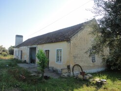 Quinta
