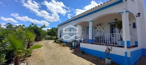 Quinta
