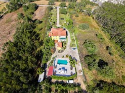 Quinta