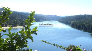 Quinta