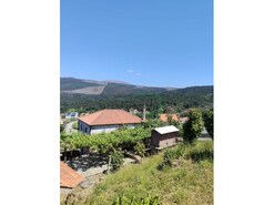 Quinta