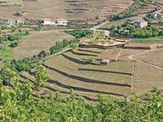 Quinta