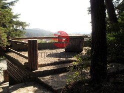 Quinta