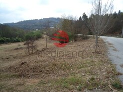Quinta