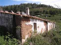 Quinta