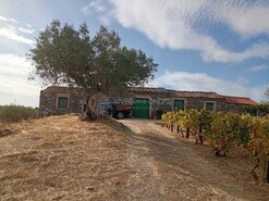 Quinta