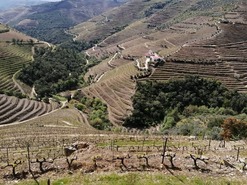 Quinta