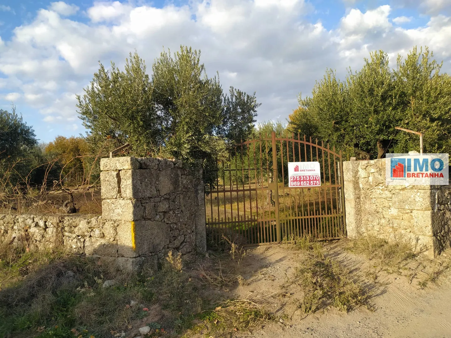 Quinta
