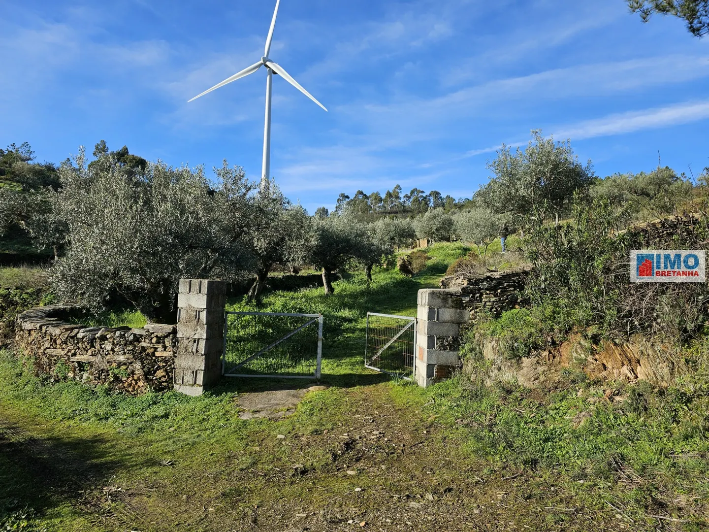 Quinta