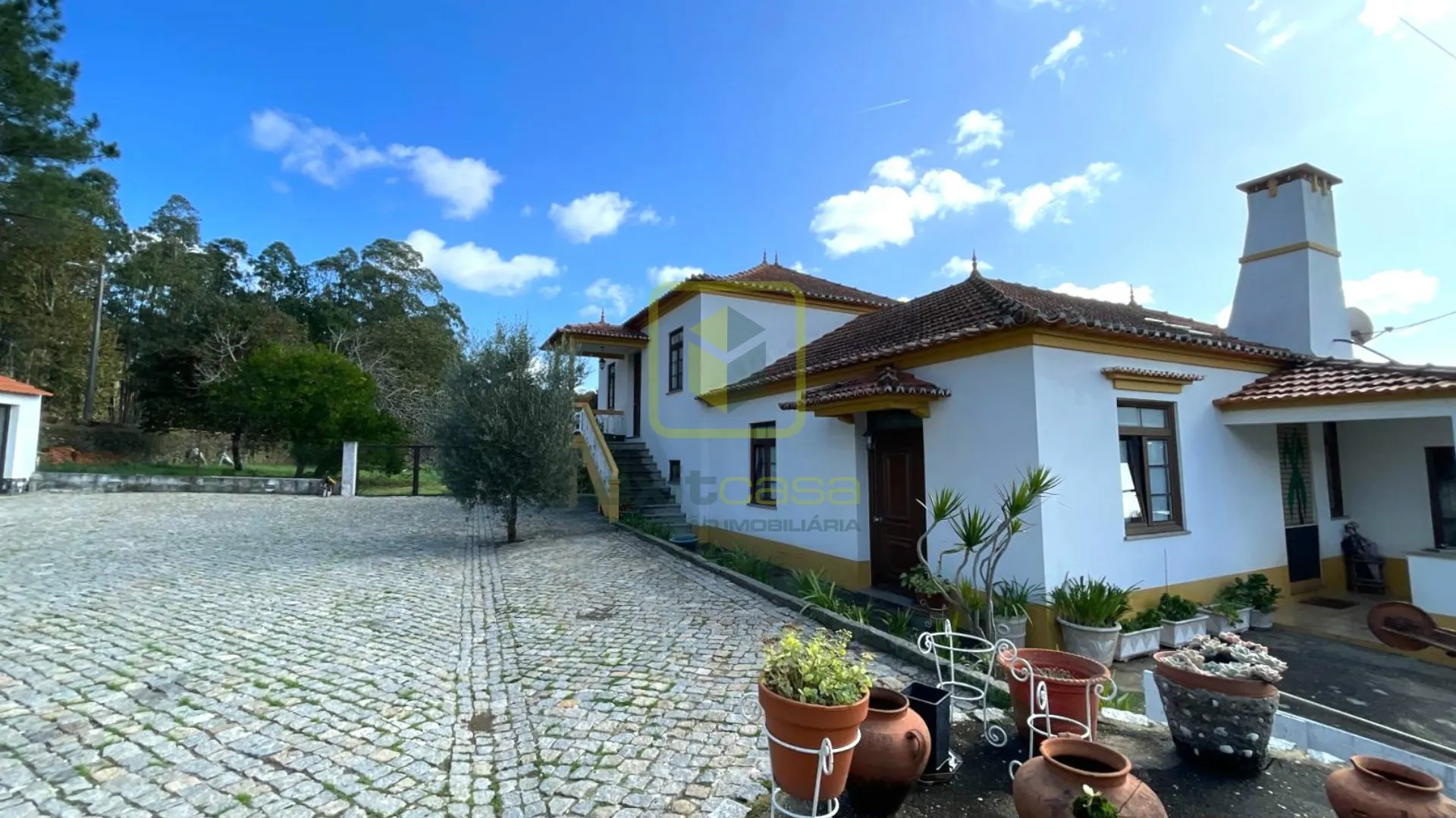 Quinta