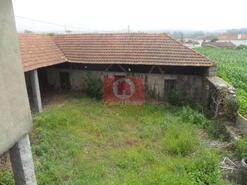 Quinta