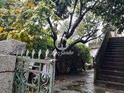 Quinta