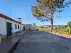 Quinta