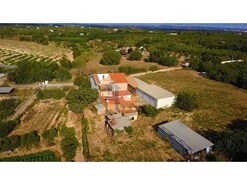 Quinta