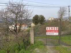 Quinta