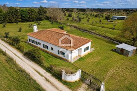 Quinta